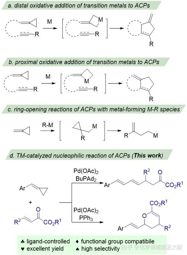 五邑大学彭金宝课题组Org. Lett.：钯催化ACPs与β,γ-不饱和α-酮酸酯的亲核反应：配体调控的发散性合成 - 知乎