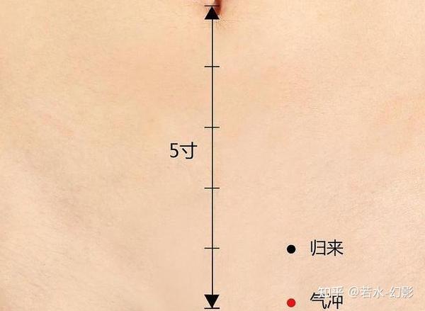 穴位小常识-气冲穴 - 知乎