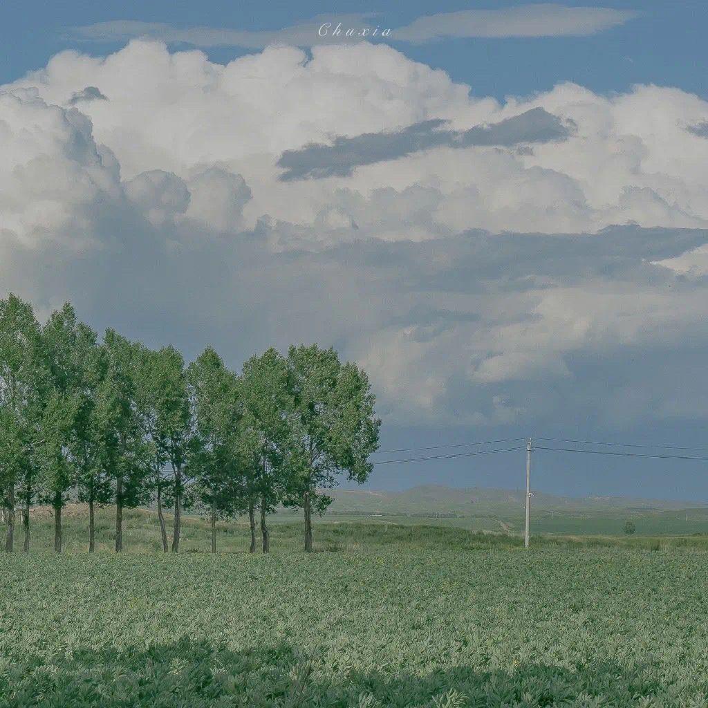 有什么美到极致的绿色壁纸?(绿色壁纸好看卡通动漫)