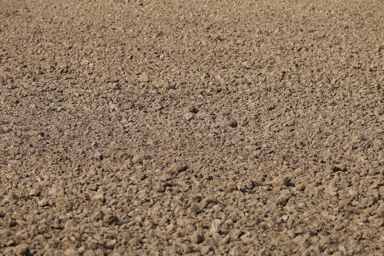 2. 冬季地表低温