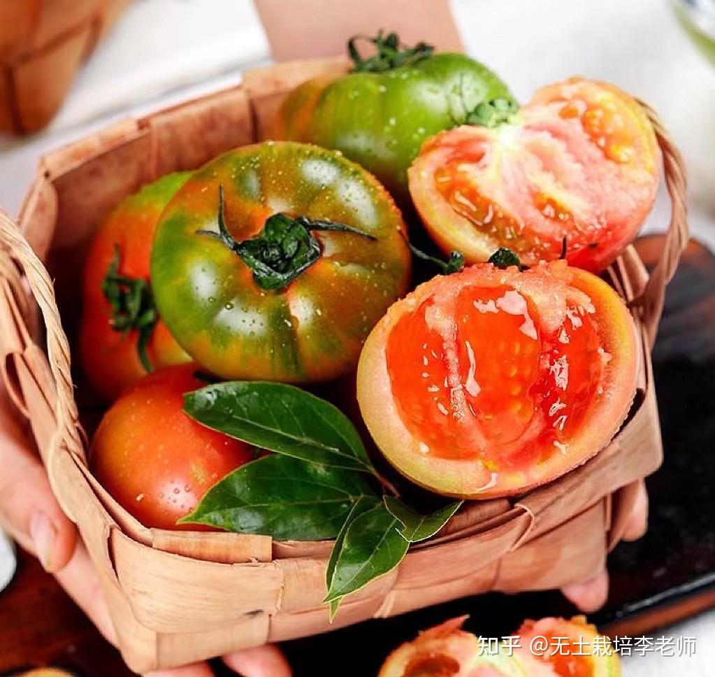 宇航员同款草莓西红柿火出圈你吃过吗