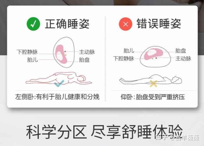 孕妇为什么要左侧卧,右侧卧和仰卧对宝宝有影响吗? - 知乎