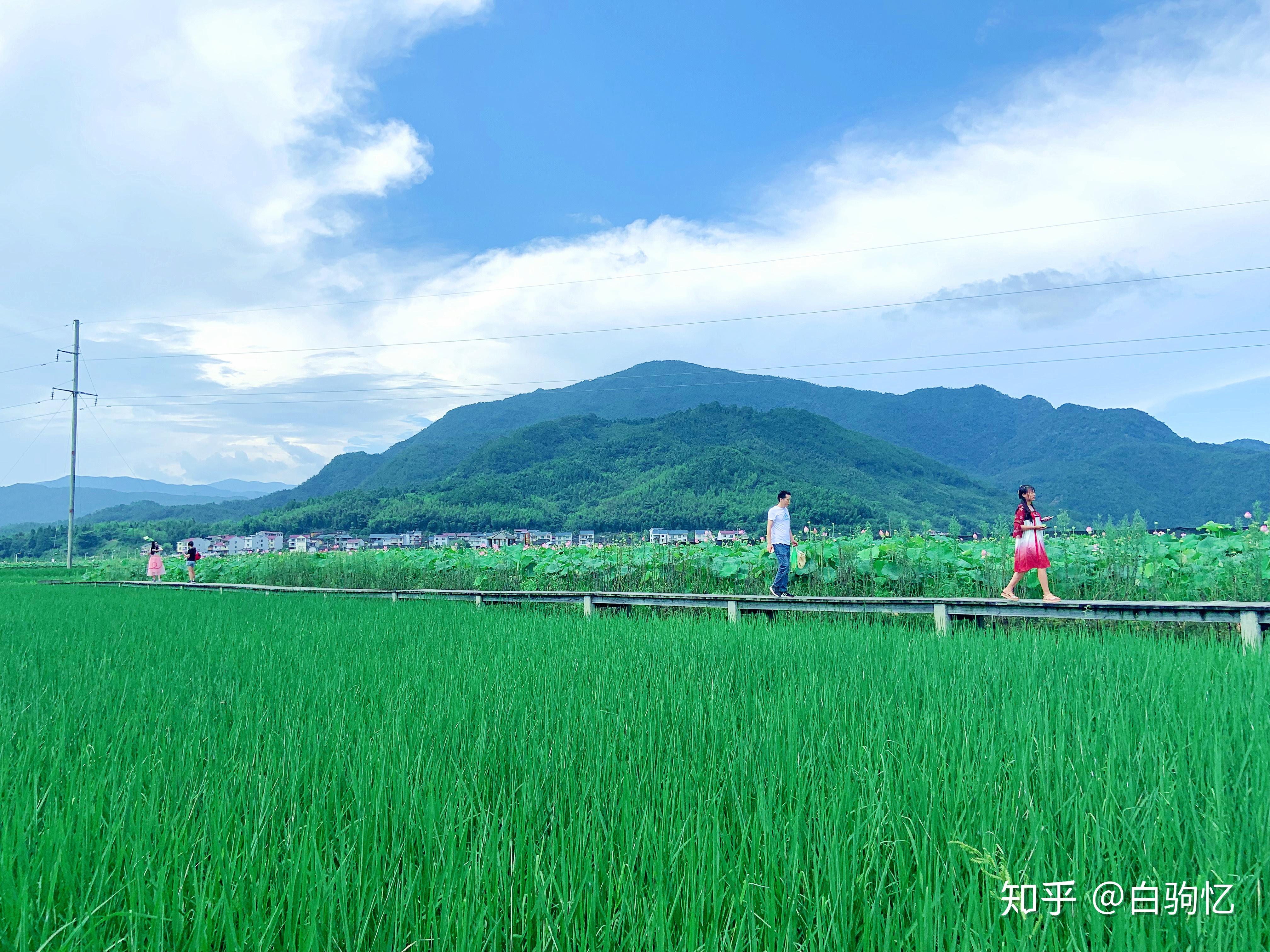 包含暑期旅行，有什么值得分享的旅行地点和旅行攻略？的词条
