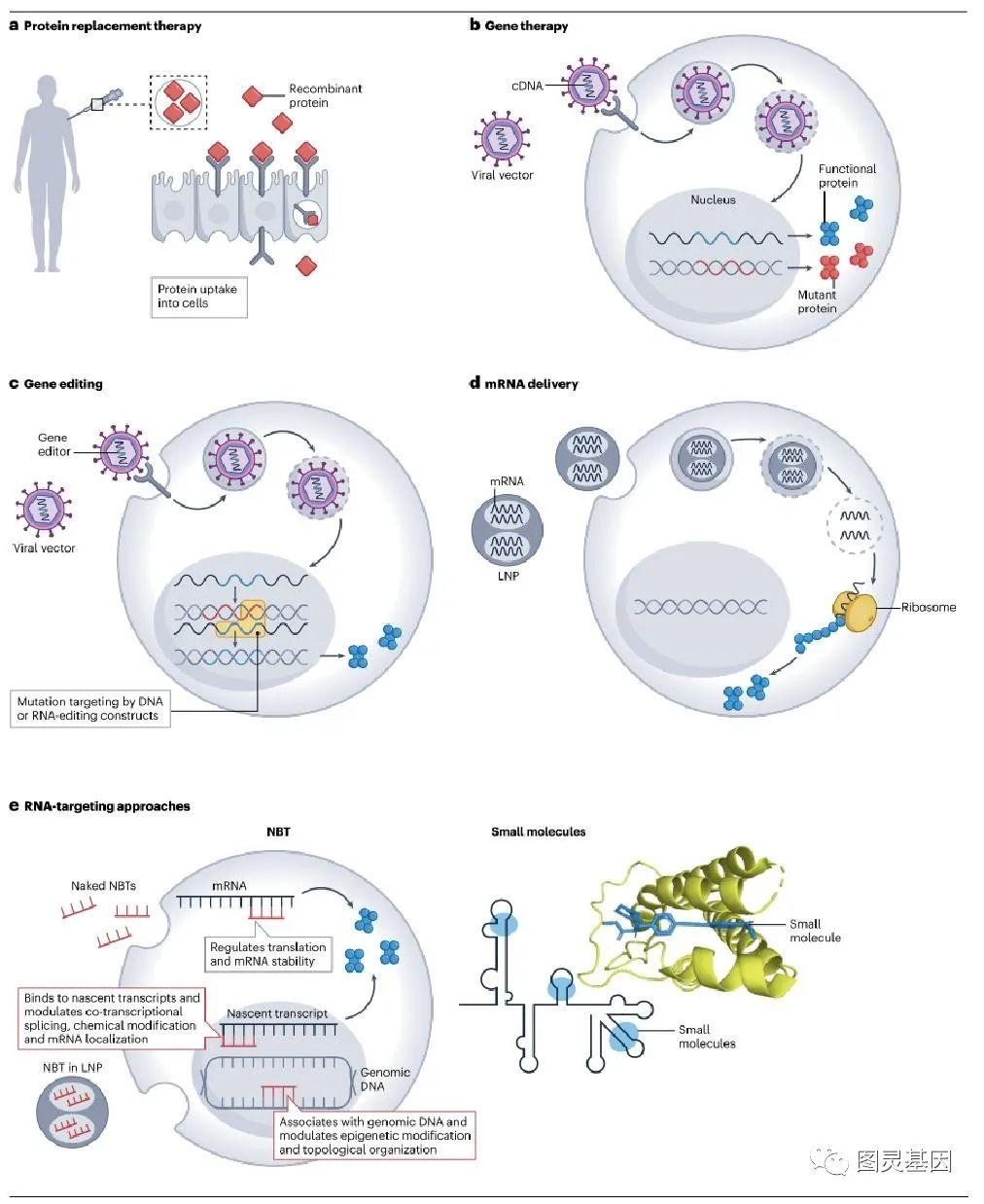 Nat rev rna 