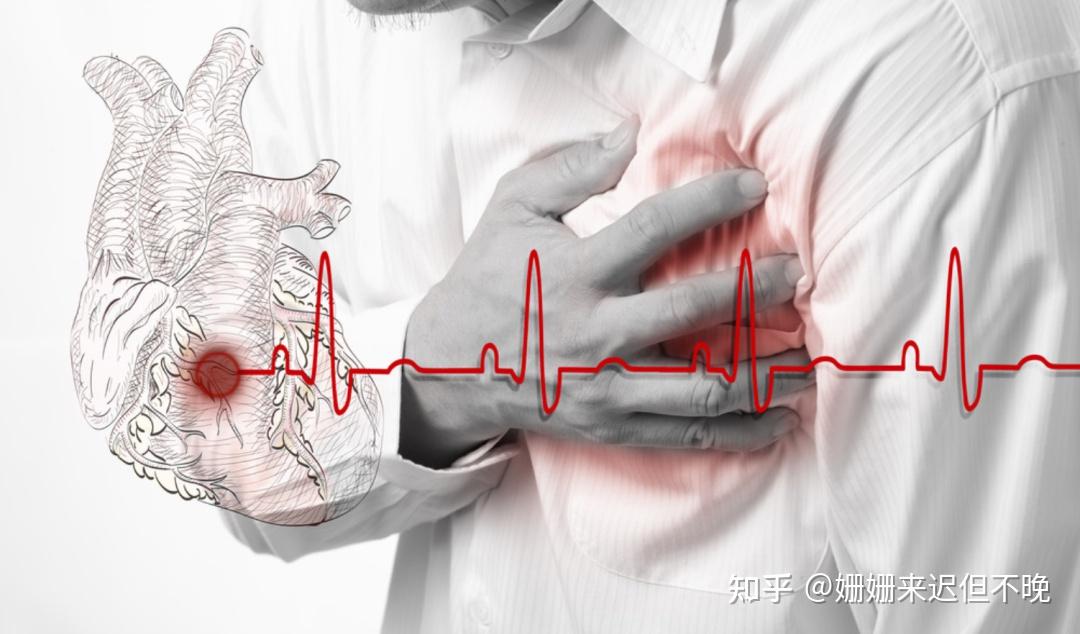 营养师  健康管理师   控糖减脂姗姗 咨询需付费