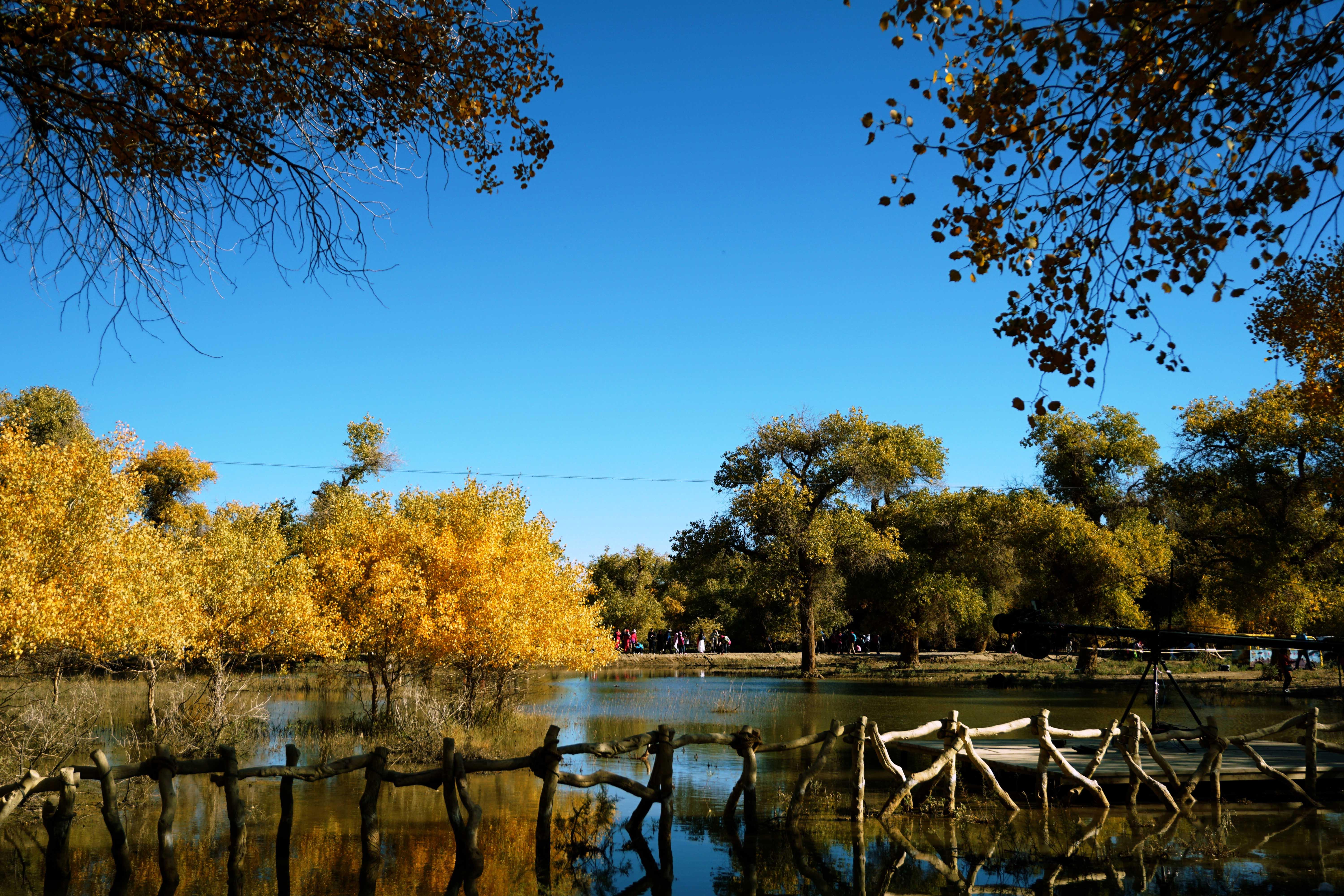 用索尼a6000套头能拍出多美的照片