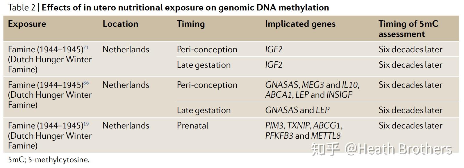 t2dm的流行,早期发育和表观遗传学:中国饥荒的影响
