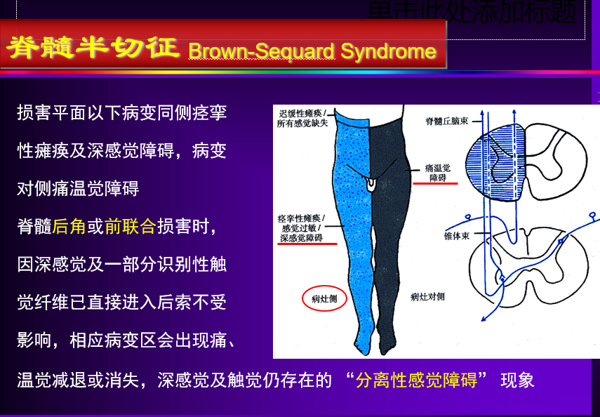 白话神经病学-神经系统的结构、功能与疾病 - 知乎