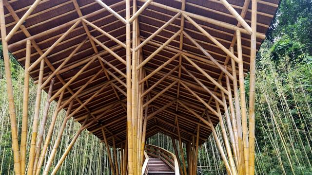 竹塑|竹代塑与竹建筑的关联 竹结构 竹房子 竹楼 竹屋 - 知乎