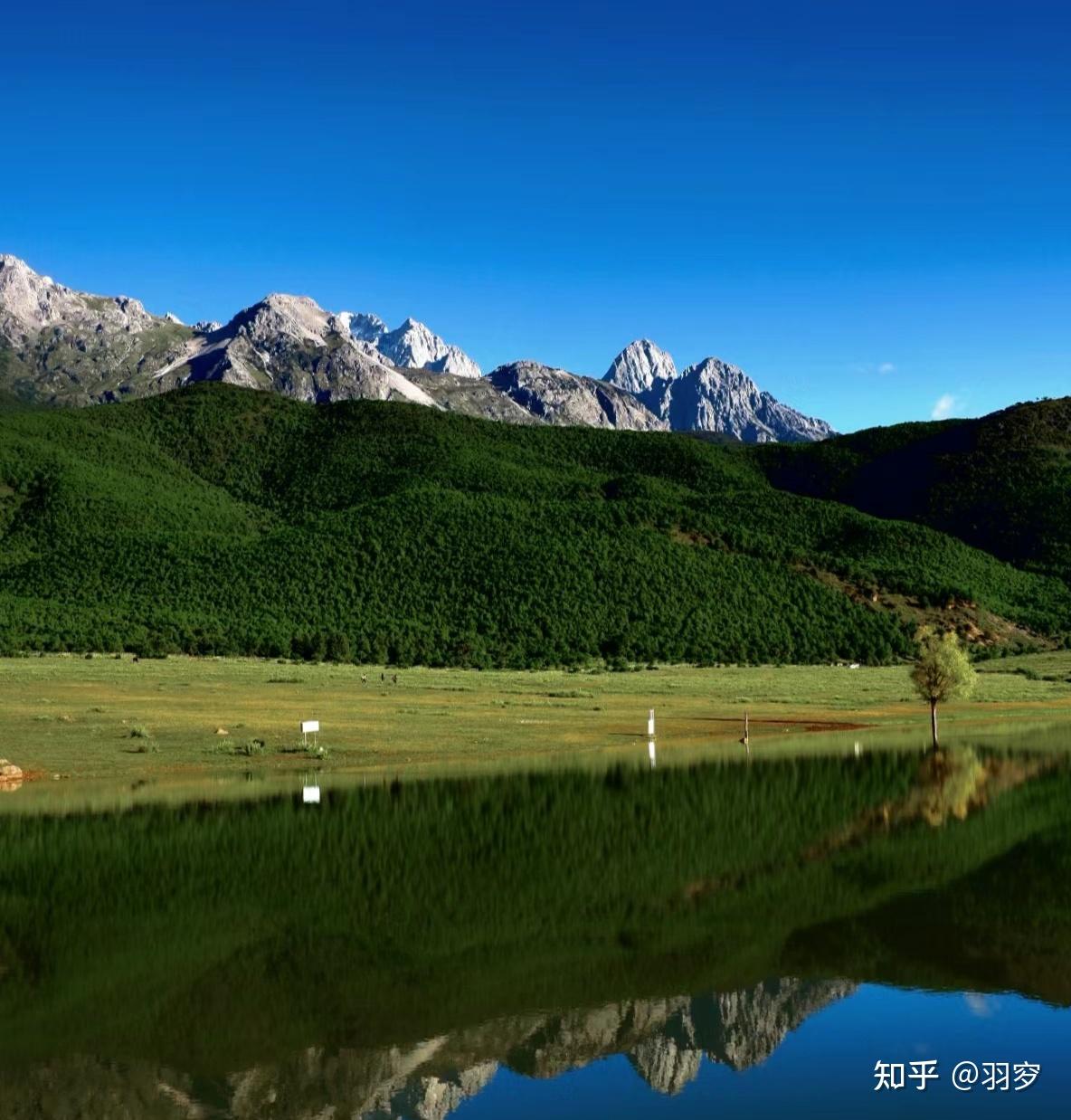 有哪些去丽江文海欣赏美景的指南? - 知乎