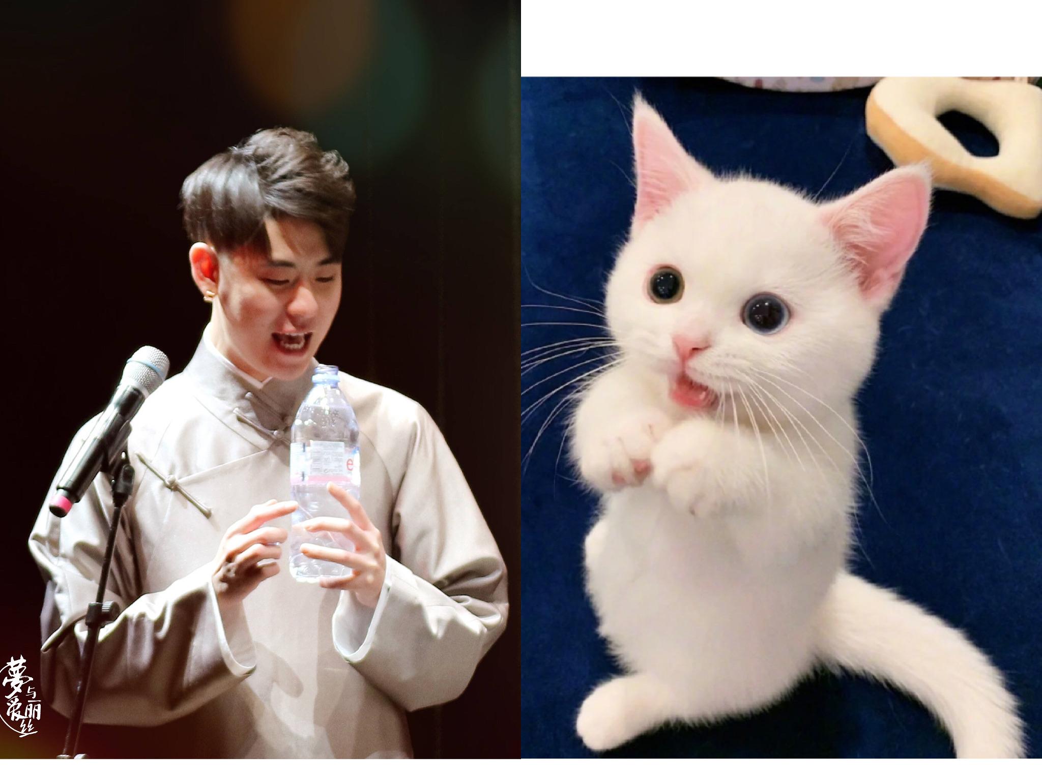 为什么张云雷叫小福泥呢?(一枚德云新粉)?
