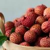 柚子树如何施肥促进发芽 开花 提高坐果率 知乎