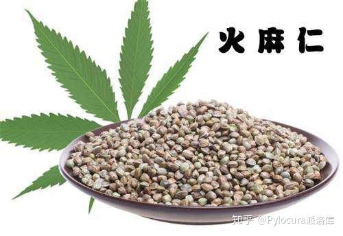 幽门螺旋杆菌阳性 不一定全靠吃药 知乎