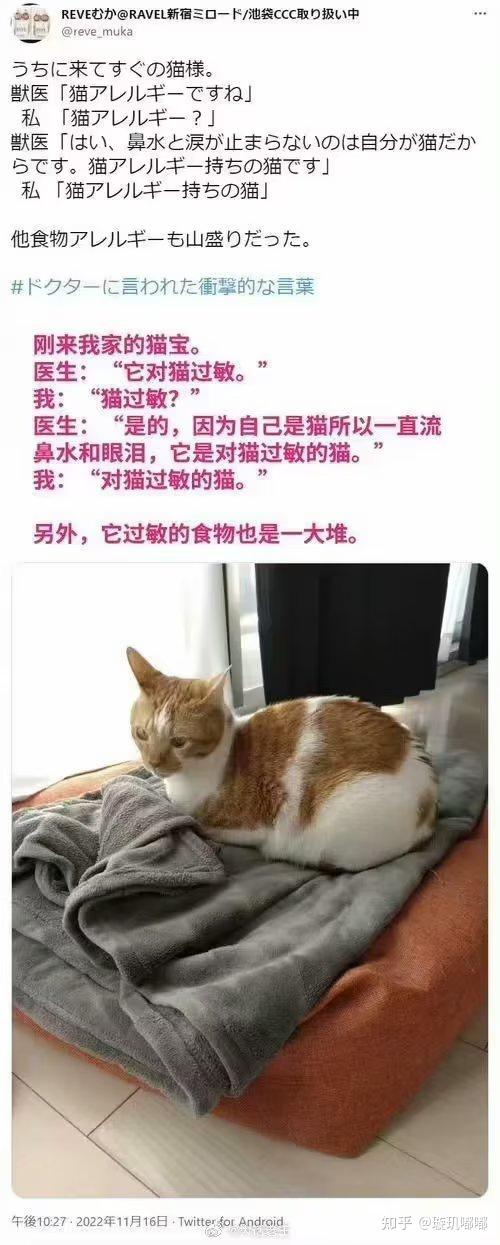 有哪些够你笑一辈子的沙雕图片？ - 知乎