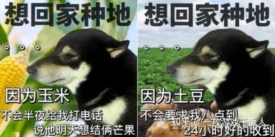 河南一父亲因为儿子沉迷游戏而吞药入院，选择起诉腾讯、网易、米哈游和三七互娱，并且索赔10元？