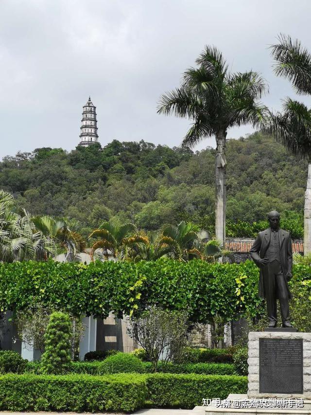 新会陈皮产区之间也相互"瞧不起"?内斗少一些,商机才多一点 - 知乎