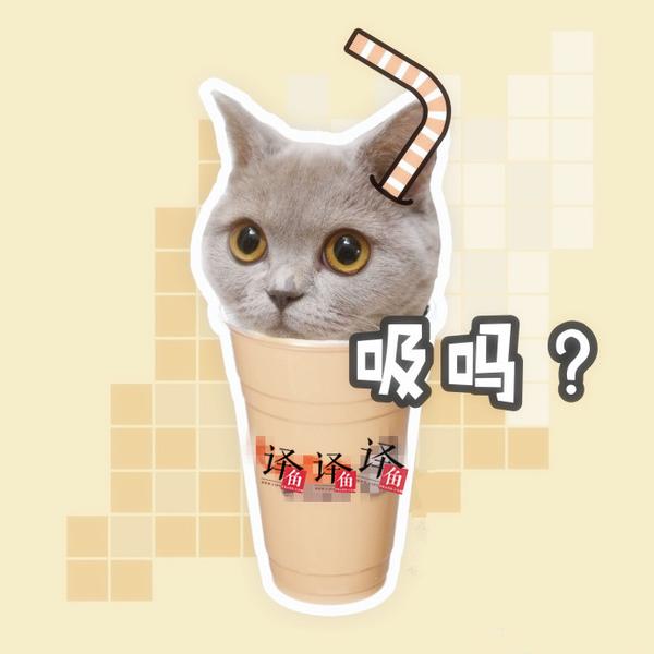 猫奴必看丨“吸猫”该怎么翻译? - 知乎