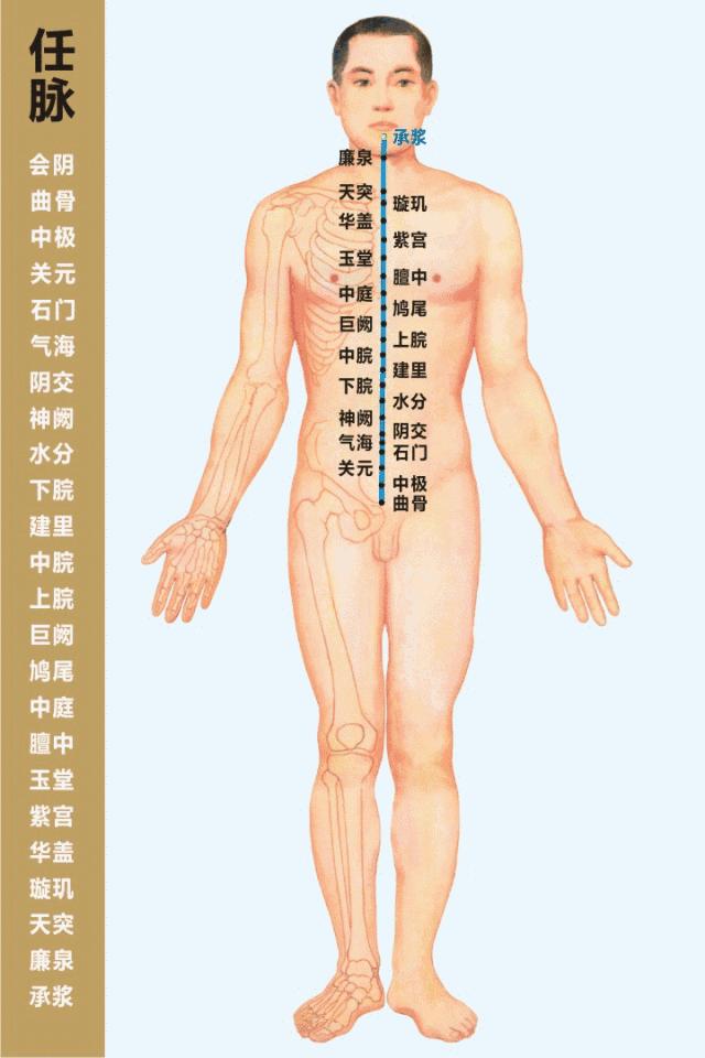 干货分享,动态3d经络穴位,看懂这张图你就理解了中医,值得收藏