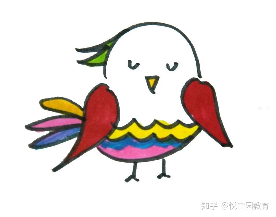 悦宝园主题课程推荐:我是一只小小鸟 |birds fly high