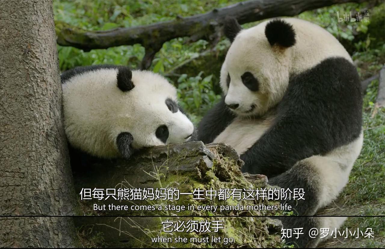 有哪些优秀的国产纪录片