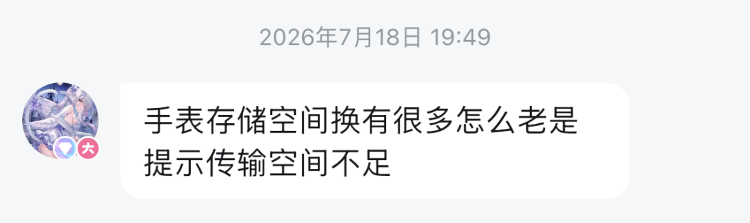 对不少人来说,佳明的存储是个谜
