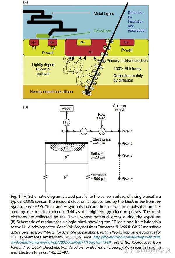 Direct Electron Detectors(Methods in Enzymology, Volume 579) 知乎