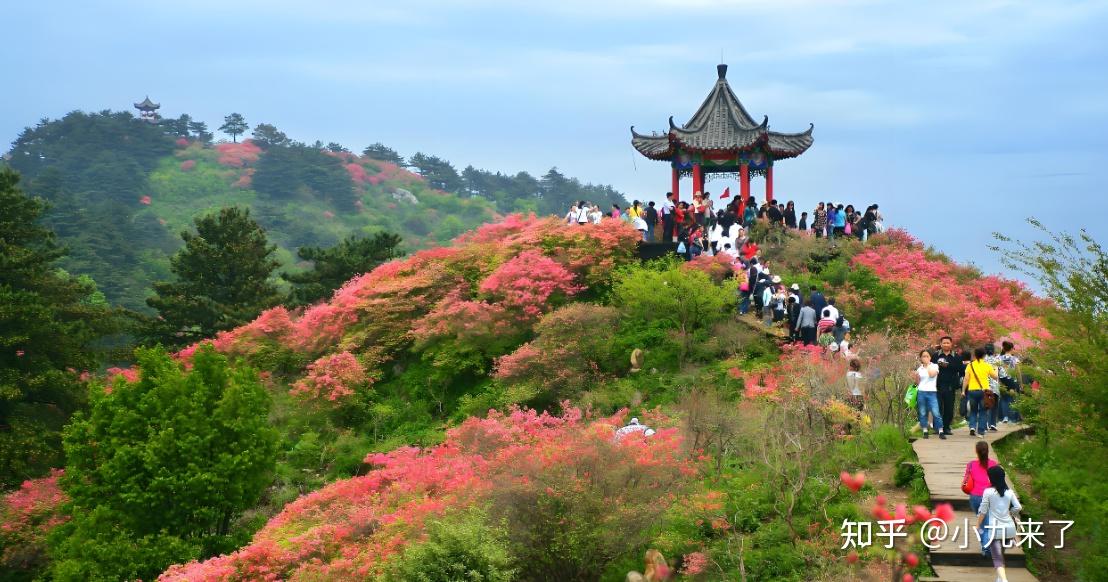 黄冈旅游必去十大景点，黄冈旅游必去十大景点，2025年游玩攻略大揭秘！推荐收藏 - 知乎