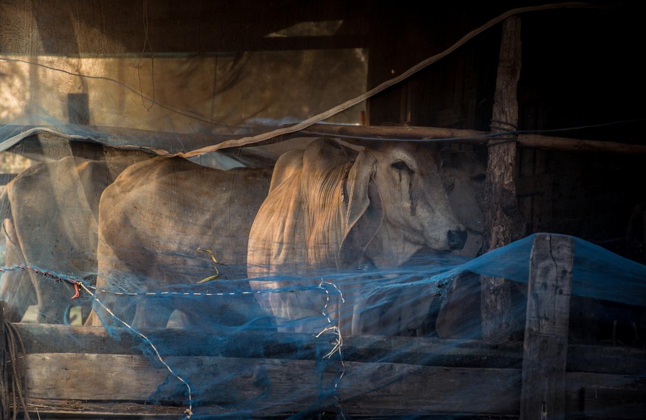 2. 房产性质核实