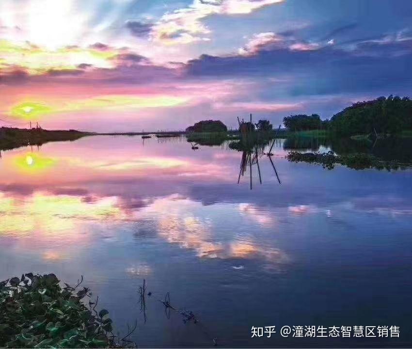 今天的潼湖,明天的松山湖