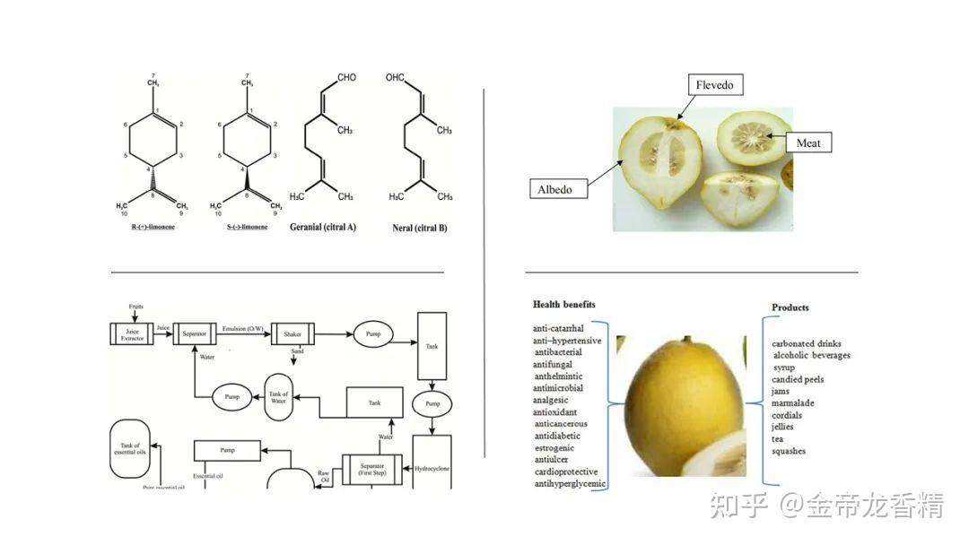香精与香料(91)—香橼 - 知乎