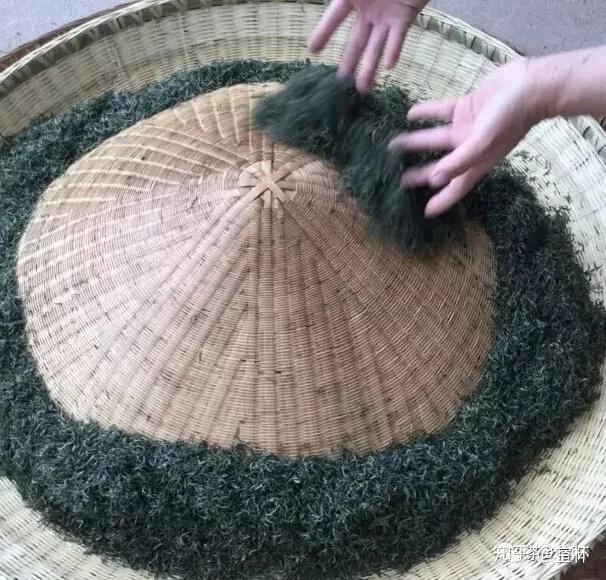 传统信阳毛尖手工炒茶工艺