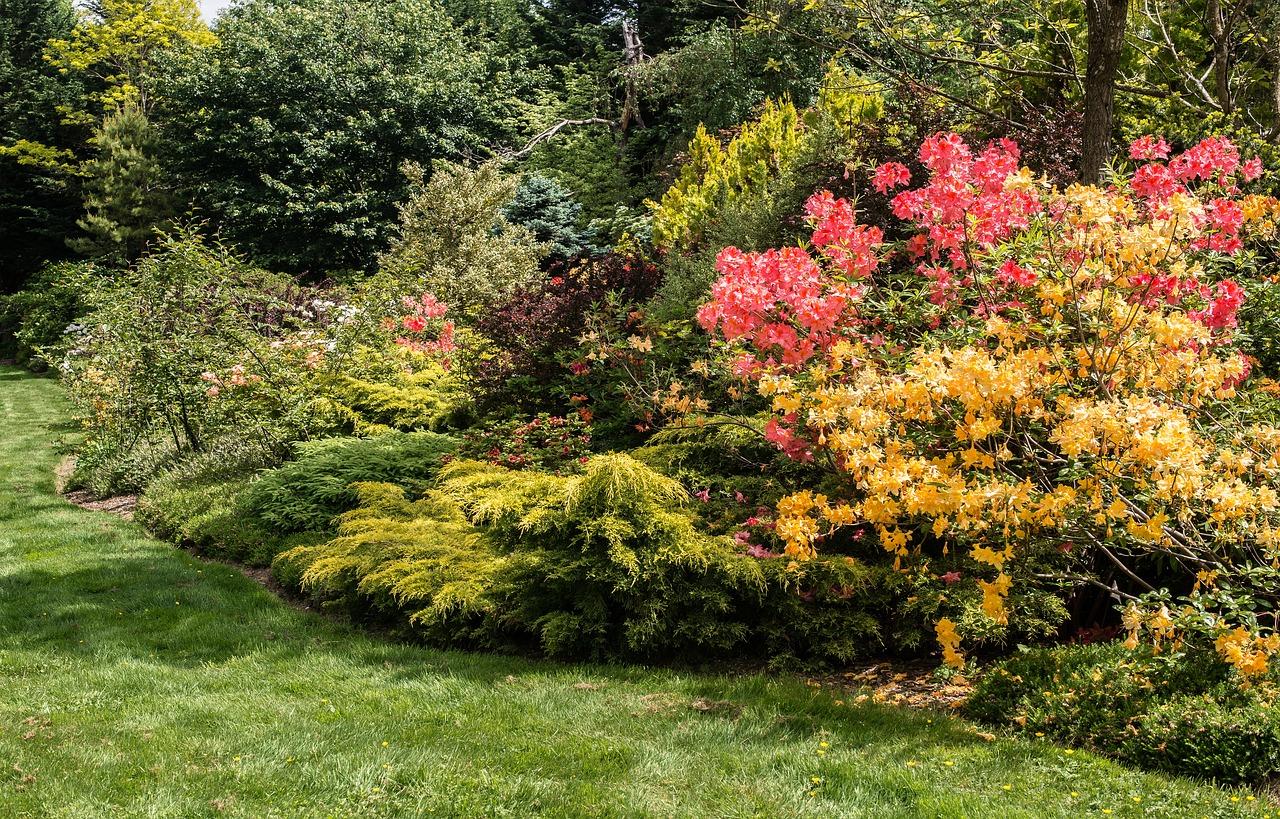 4. 花草养护指南