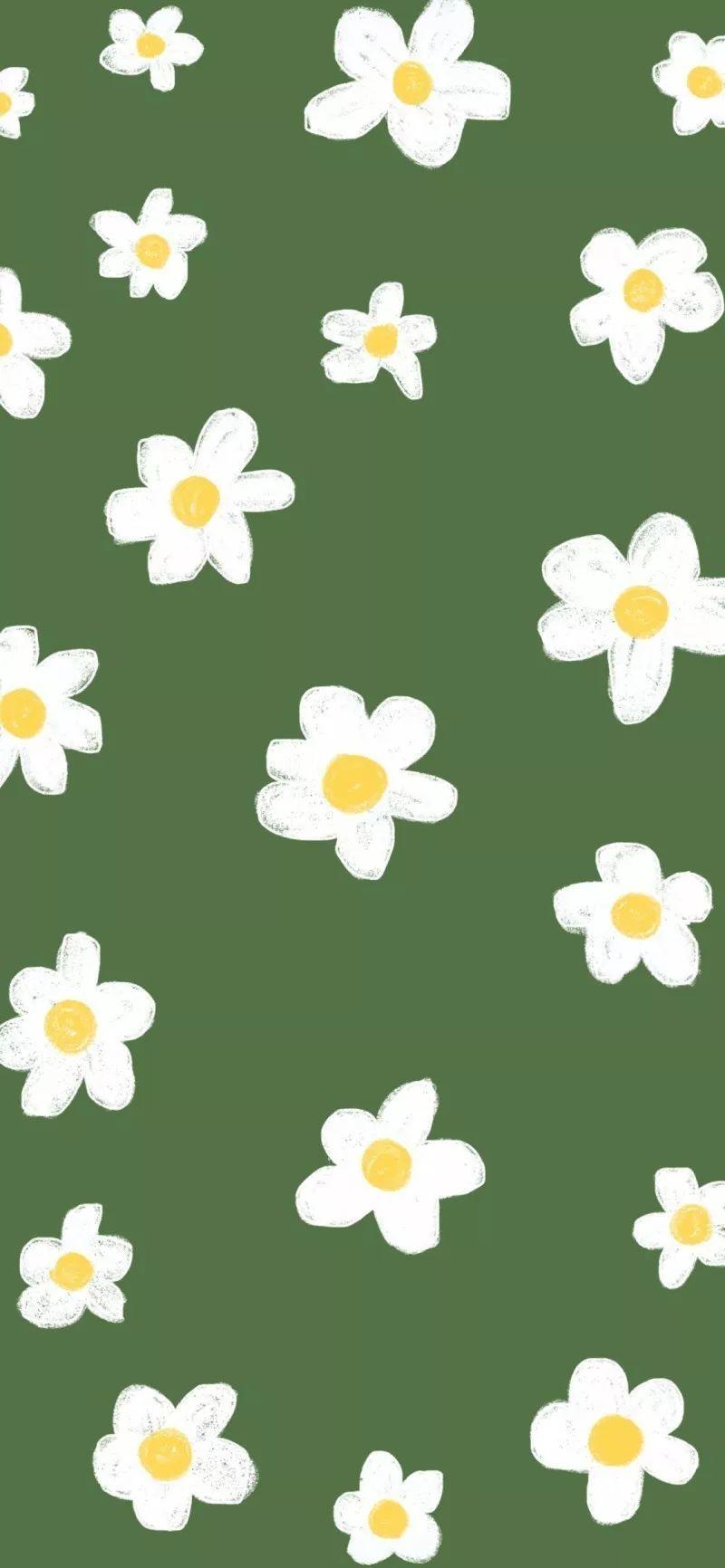 有没有非网红图且好看的壁纸头像和非网红句且温柔惊艳的句子或诗文