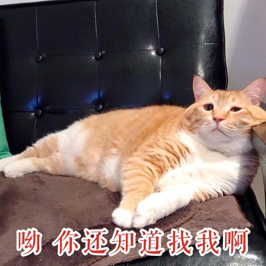 v2-dfc7f2841c13a452506b6a6eb59944a4_r.jpg