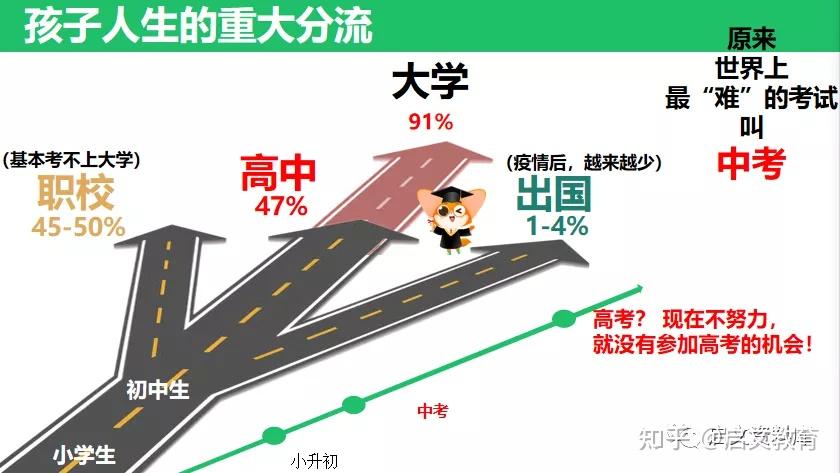 如何看待中考淘汰率50我们的孩子又在哪个范围