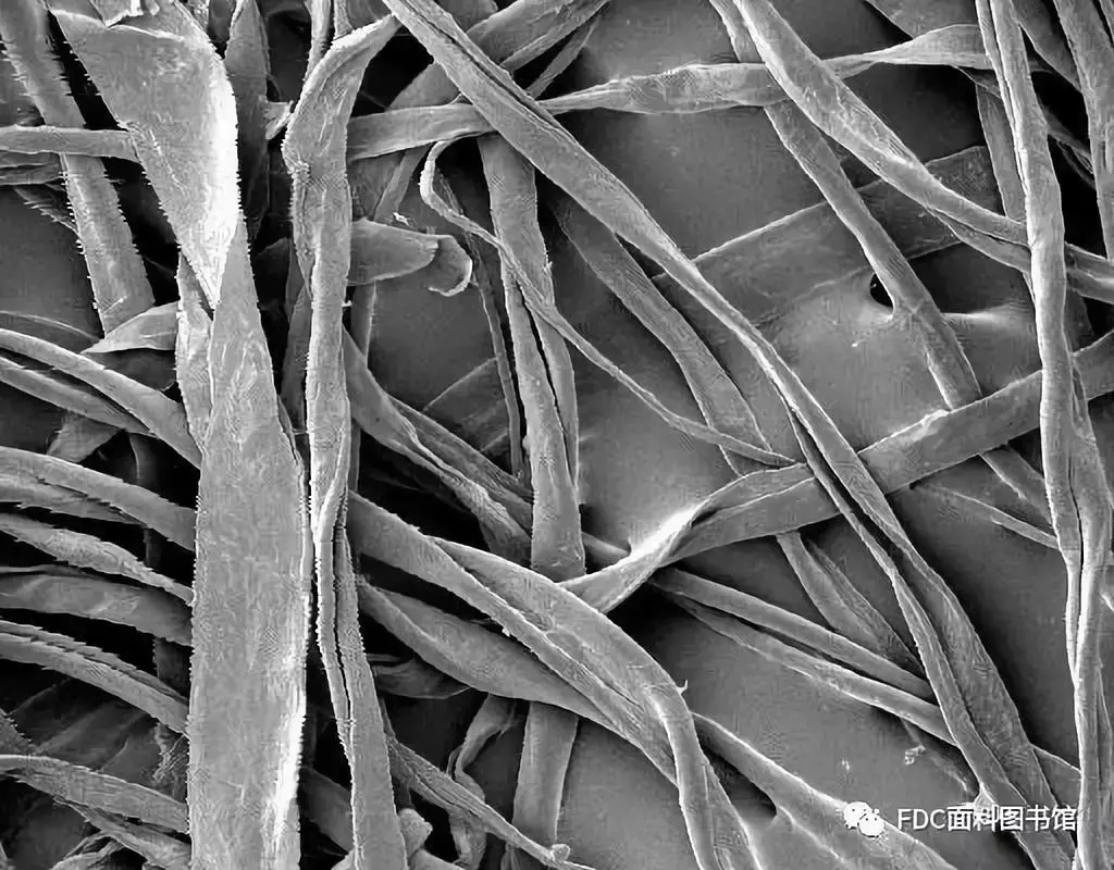 椰壳纤维是在椰子的硬壳和内壳之间的这层毛茸茸的纤维,可用于地板垫