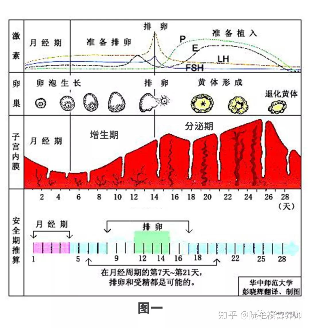 女性健康