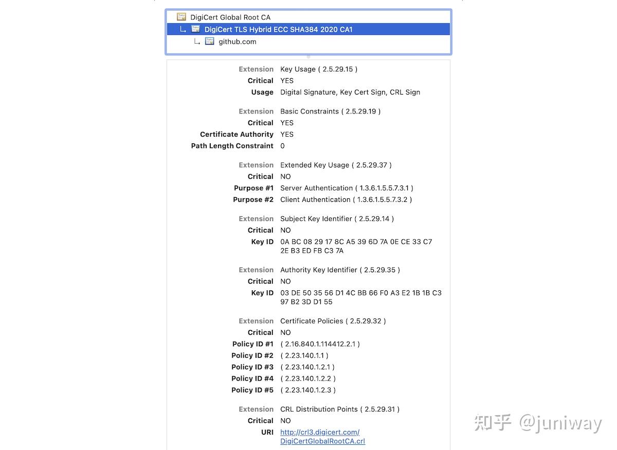 OPENSSL X509V3 EXTENDED KEY USAGE visual data 2