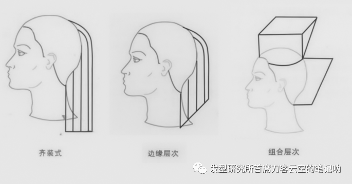 托尼盖汤尼英盖toniguy经典十二款结构图