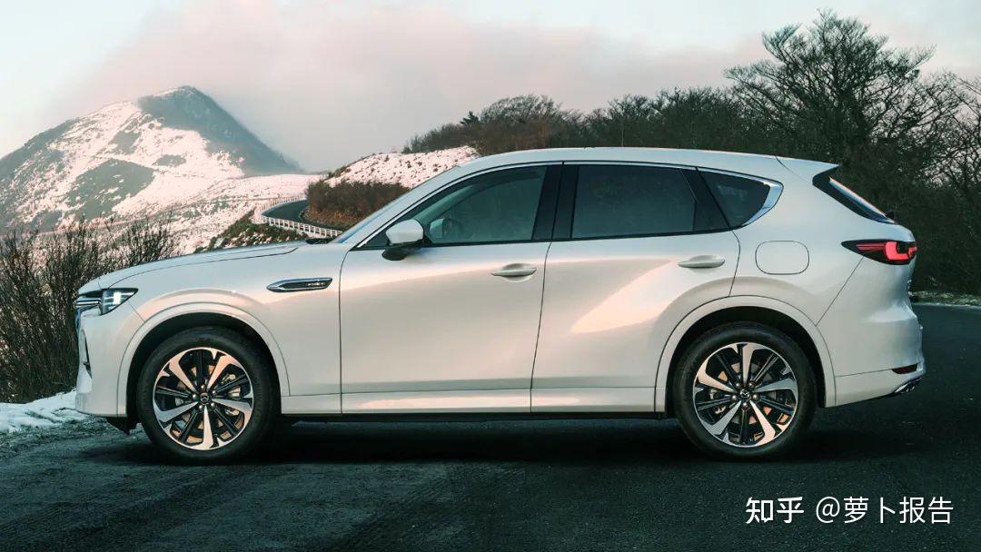 请问,2023年你们认为要买什么样的车比较好呢?