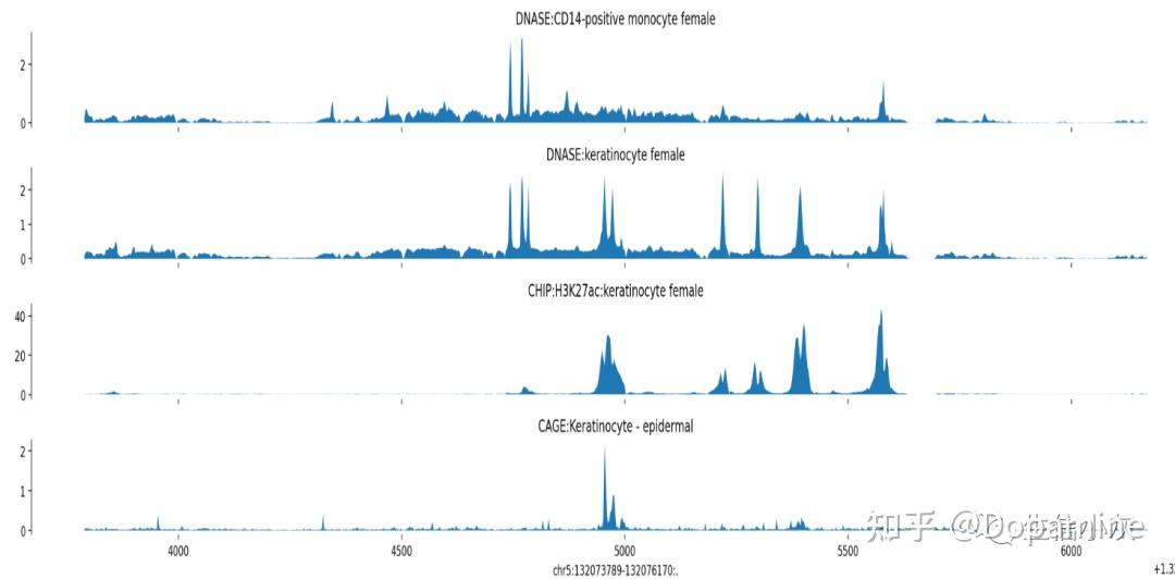 Enformer DNA enformer dna
