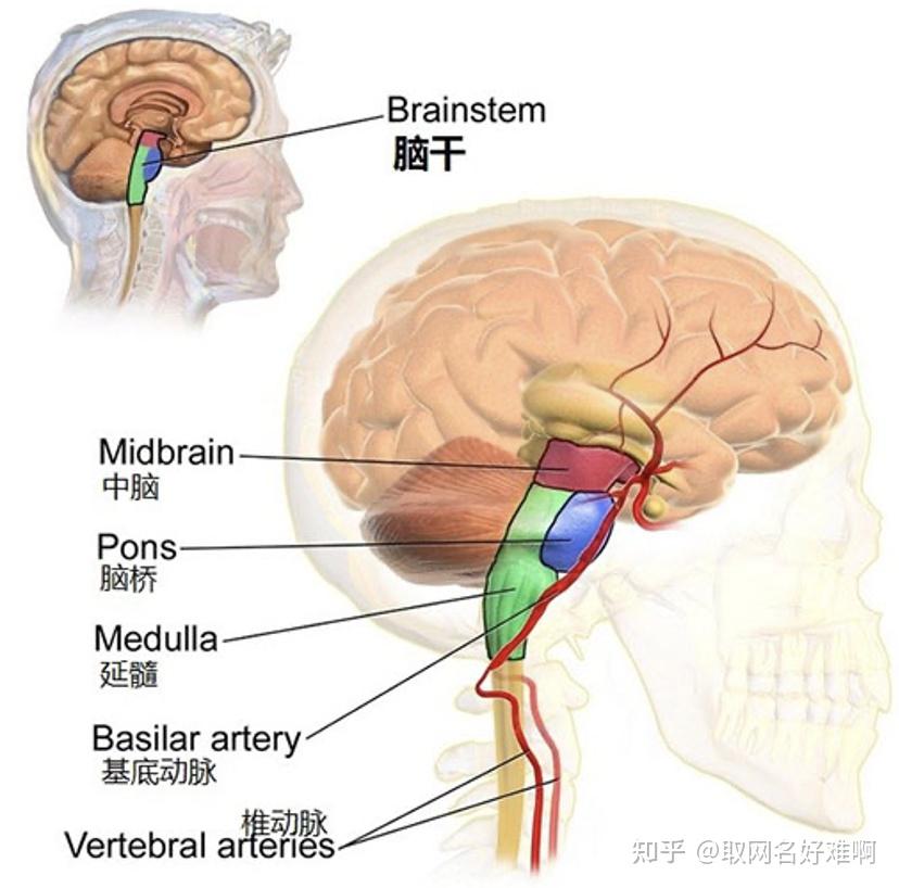 学习笔记