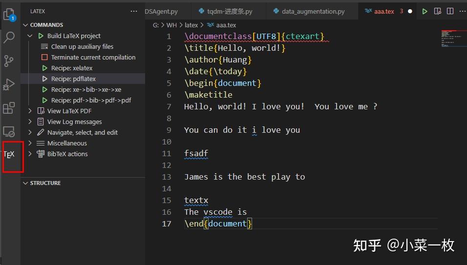  latex vscode texlive sumatrapdf 