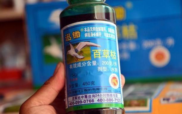 百草枯浅谈 知乎 百草枯浅谈 知乎