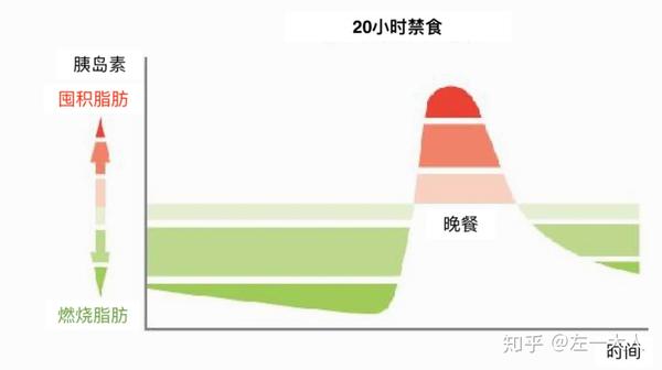 断食 少食 健康法 宗教 医学 一体論 甲田 光雄 春秋社 絶版 Cdk468qruzdhir23 2970 家庭医学一般 Bookmycrackers Com