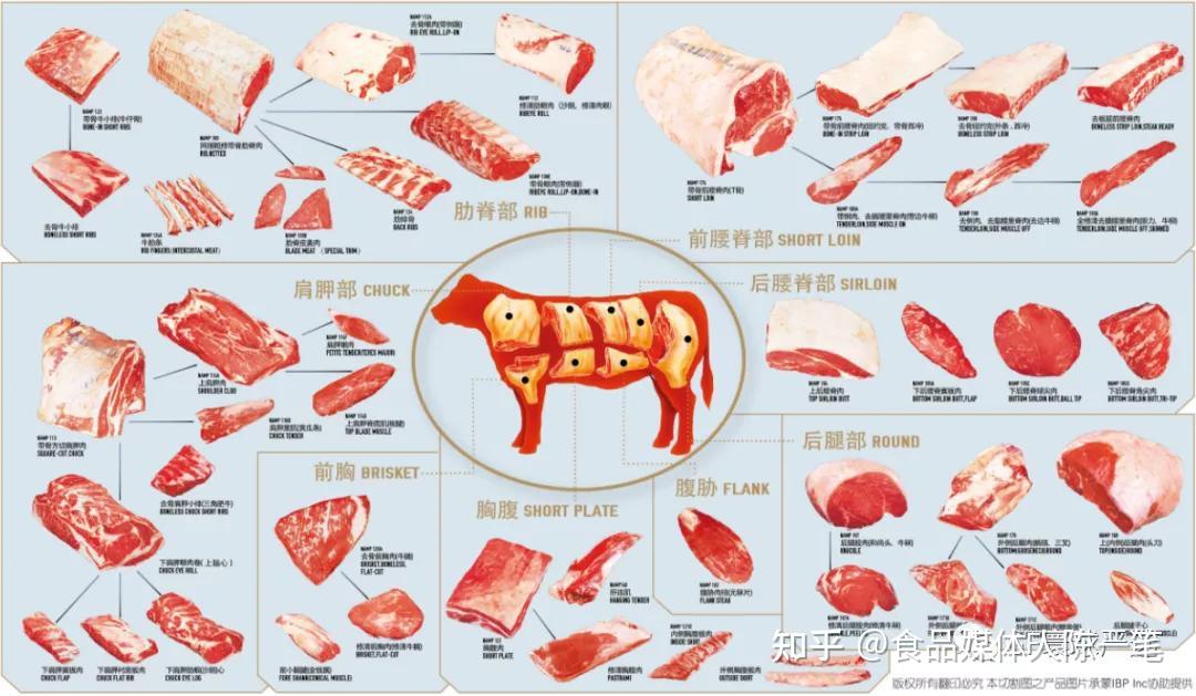 巴西牛肉分割图及名称图片