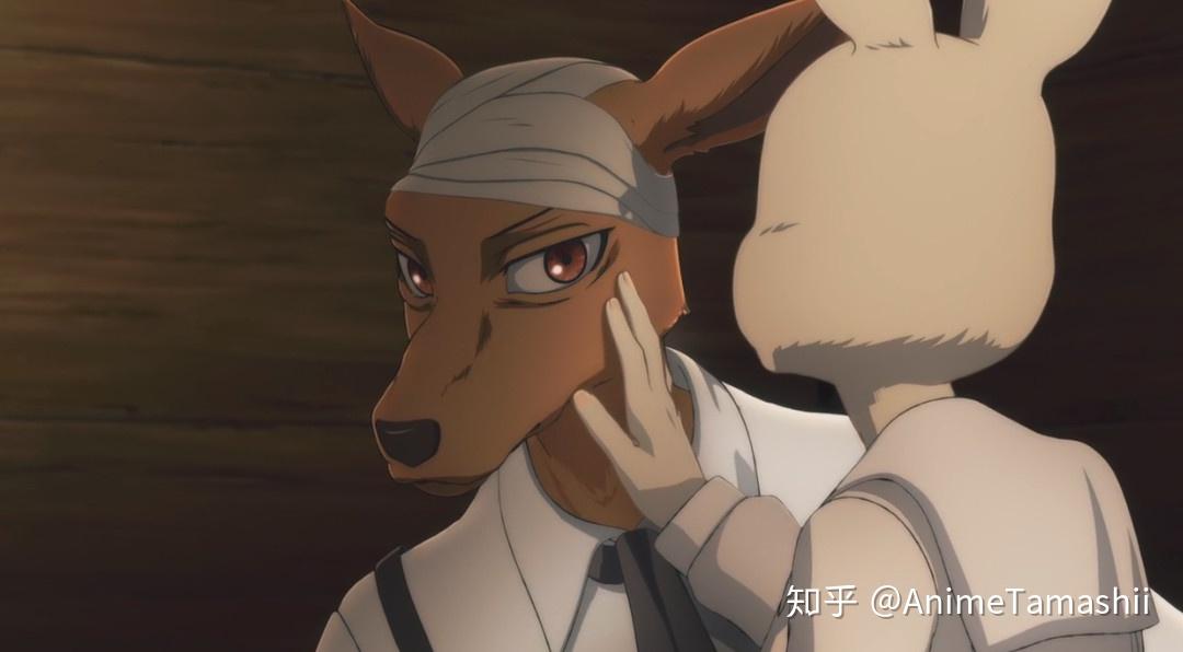 如何评价2019年10月新番beastars动物狂想曲