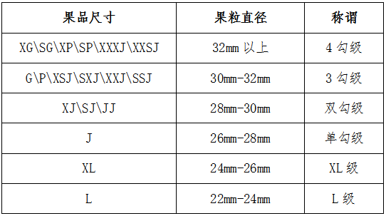 车厘子规格PD图片