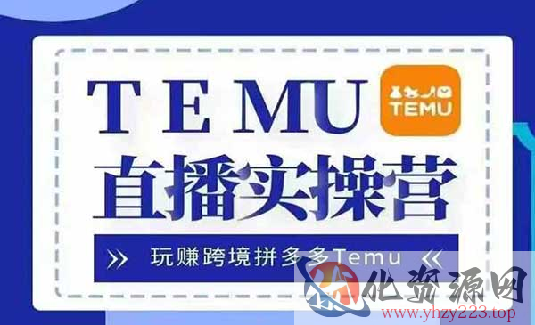 Temu直播实战营_wwz