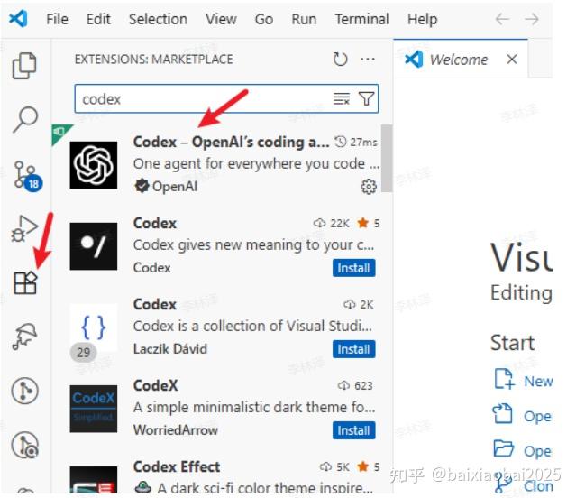 Codex Presentation Visual Studio Code Codex 配置使用教程 - 知乎